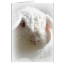 Lop-Eared Albino Easter Bunny Greeting Card