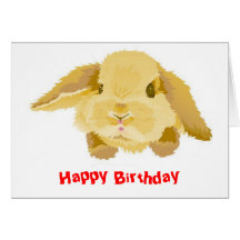 Lop Eared Bunny Birthday Card