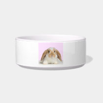 Lop Eared Bunny Rabbit Pet Bowl Cat Bowls