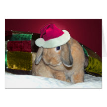 Lop Eared Bunny Xmas Card 1