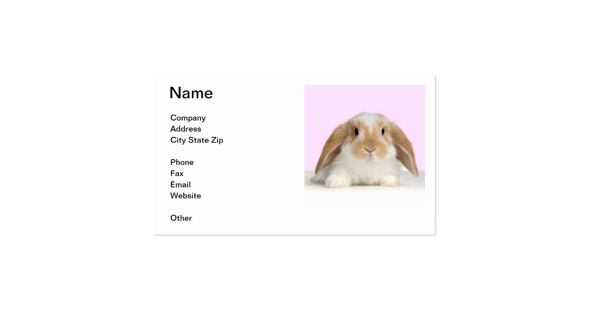 Lop Eared Rabbit Business Card Zazzle