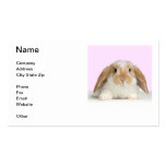 Lop Eared Rabbit Business Card