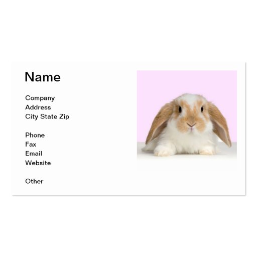 Lop Eared Rabbit Business Card (front side)