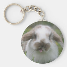 lop eared rabbit keychain