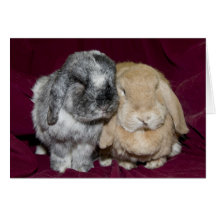 Lop Eared Rabbit Pair Greeting Cards