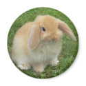 lop magnets by trish1968 lop magnets