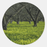 Lopez Lake Garden Stickers