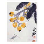 Loquats and a Grasshopper postcards