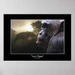 "LORD OF PARADISE" Chimpanzee Art Poster