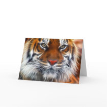 Lord of the Indian Jungles, The Royal Bengal Tiger cards by KahunaLuna Lord of the Indian Jungles, The Royal Bengal Tiger cards