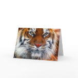 Lord of the Indian Jungles, The Royal Bengal Tiger Greeting Cards