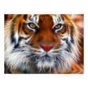 Lord of the Indian Jungles, The Royal Bengal Tiger posters by KahunaLuna Lord of the Indian Jungles, The Royal Bengal Tiger posters