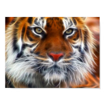 Lord of the Indian Jungles, The Royal Bengal Tiger posters by KahunaLuna Lord of the Indian Jungles, The Royal Bengal Tiger posters