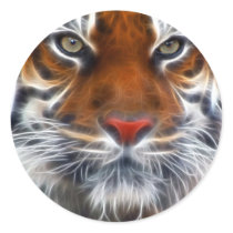 Lord of the Indian Jungles, The Royal Bengal Tiger stickers by KahunaLuna Lord of the Indian Jungles, The Royal Bengal Tiger stickers
