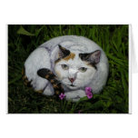 "Loreal" cat rock card