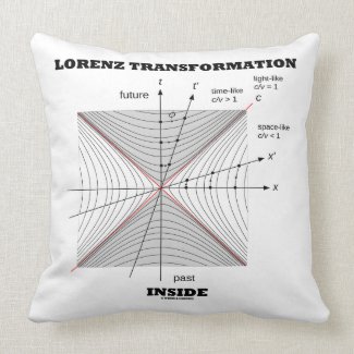 Lorenz Transformation Inside Physics Throw Pillow