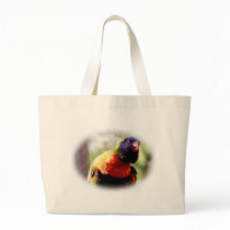 Lorikeet_0959 bags