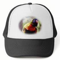 Lorikeet_0959 hats