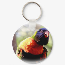 Lorikeet_0959 keychains