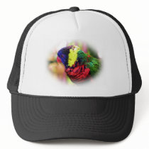 Lorikeet_0960 hats