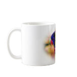 Lorikeet_0960 Mugs