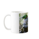 Lorikeet Bathing Mugs