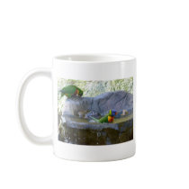 Lorikeet Bathing Coffee Mugs