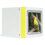 Lorikeet Binder