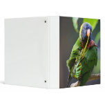 Lorikeet Binder