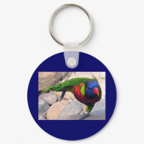 Lorikeet keychains