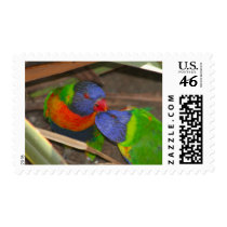 Lorikeet Love postage