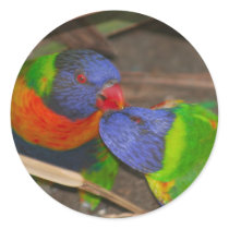Lorikeet Love stickers
