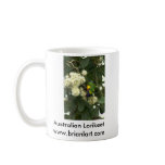 Lorikeet mugs