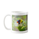 Lorikeet mugs