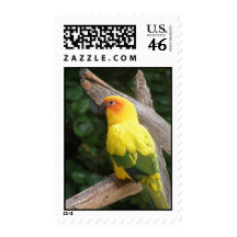 Lorikeet Postage Stamp