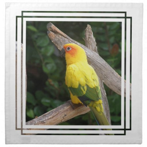 Lorikeet Set of Four Napkins