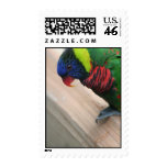 Lorikeet Stamp