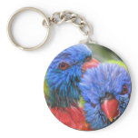 Lorikeets bubble with shadow key chain