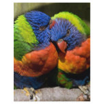 Lorikeets in Love flyers