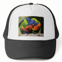 Lorikeets in Love hats