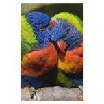 Lorikeets in Love Stationery