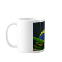 Lorikeets Coffee Mugs