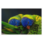 Lorikeets Stationery Design