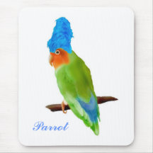 Loro con un mousepad azul de la peluca