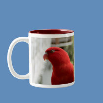 Lory Mug by Gilliand_Photo Lory Mug