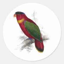 Lory Negro-Capsulado de Edward Lear Etiquetas