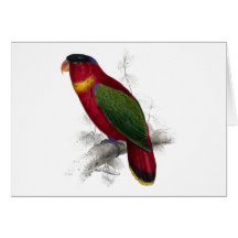 Lory Negro-Capsulado de Edward Lear Felicitaciones