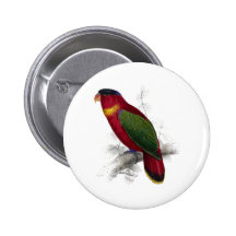 Lory Negro-Capsulado de Edward Lear Pin