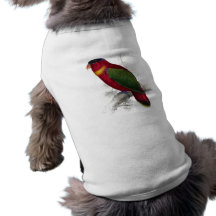 Lory Negro-Capsulado de Edward Lear Camisas De Perritos