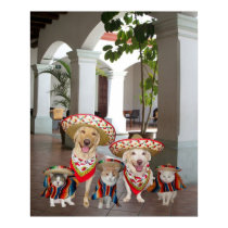 Los amigos posters